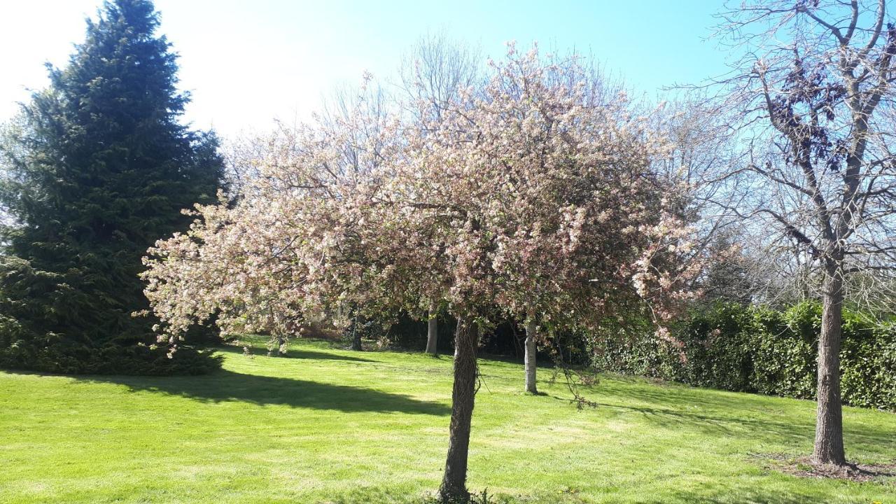 Gite De Bon Air Sens-de-Bretagne Εξωτερικό φωτογραφία